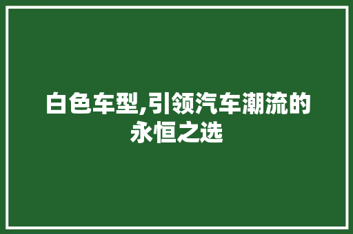 白色车型,引领汽车潮流的永恒之选