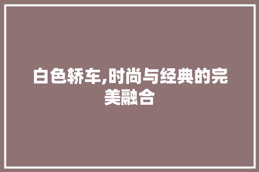 白色轿车,时尚与经典的完美融合