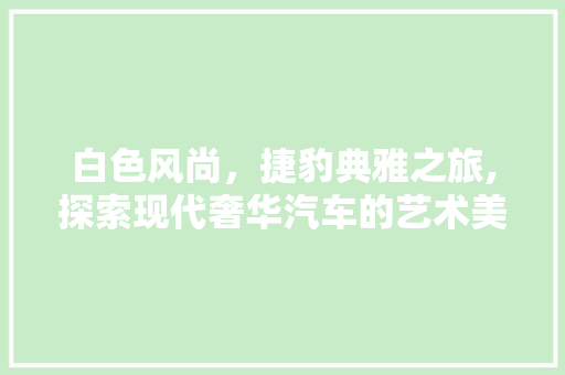 白色风尚，捷豹典雅之旅,探索现代奢华汽车的艺术美学