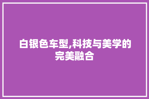 白银色车型,科技与美学的完美融合
