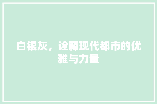 白银灰，诠释现代都市的优雅与力量