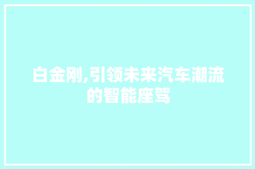 白金刚,引领未来汽车潮流的智能座驾