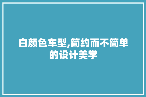 白颜色车型,简约而不简单的设计美学