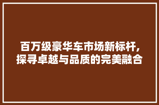 百万级豪华车市场新标杆,探寻卓越与品质的完美融合