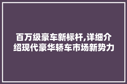 百万级豪车新标杆,详细介绍现代豪华轿车市场新势力