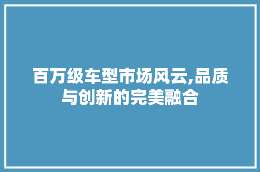 百万级车型市场风云,品质与创新的完美融合
