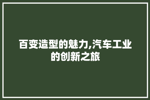 百变造型的魅力,汽车工业的创新之旅