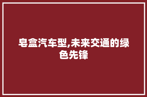 皂盒汽车型,未来交通的绿色先锋