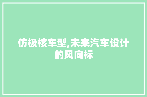 仿极核车型,未来汽车设计的风向标