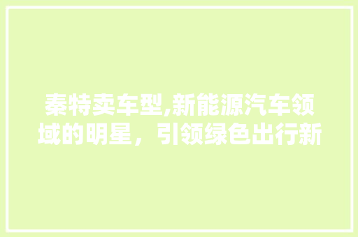 秦特卖车型,新能源汽车领域的明星，引领绿色出行新潮流