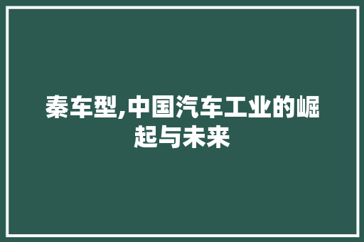 秦车型,中国汽车工业的崛起与未来