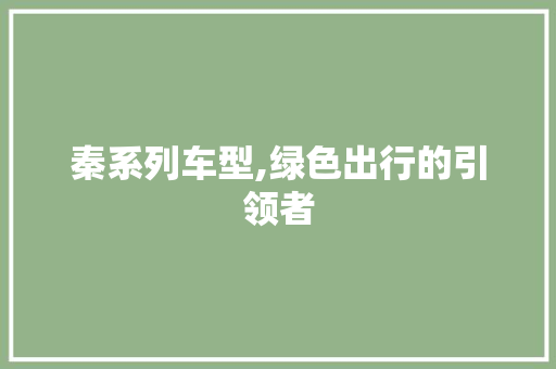 秦系列车型,绿色出行的引领者