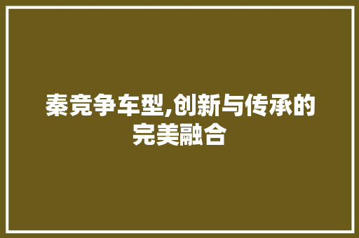 秦竞争车型,创新与传承的完美融合