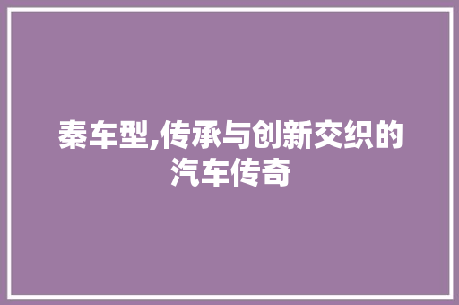 秦车型,传承与创新交织的汽车传奇