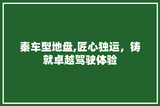 秦车型地盘,匠心独运，铸就卓越驾驶体验