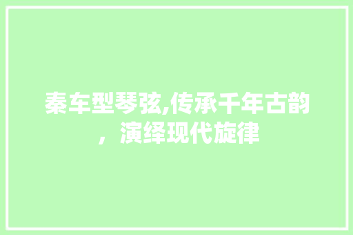 秦车型琴弦,传承千年古韵，演绎现代旋律