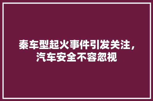 秦车型起火事件引发关注，汽车安全不容忽视