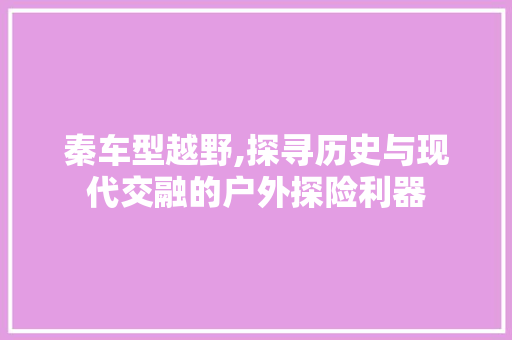 秦车型越野,探寻历史与现代交融的户外探险利器