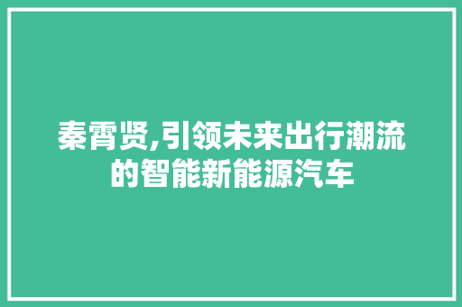 秦霄贤,引领未来出行潮流的智能新能源汽车