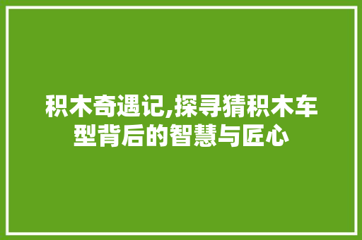 积木奇遇记,探寻猜积木车型背后的智慧与匠心