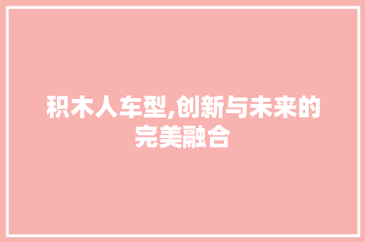 积木人车型,创新与未来的完美融合