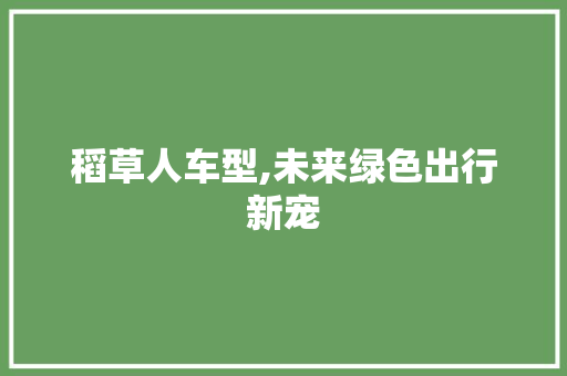 稻草人车型,未来绿色出行新宠