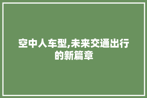 空中人车型,未来交通出行的新篇章