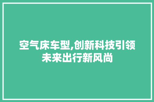 空气床车型,创新科技引领未来出行新风尚