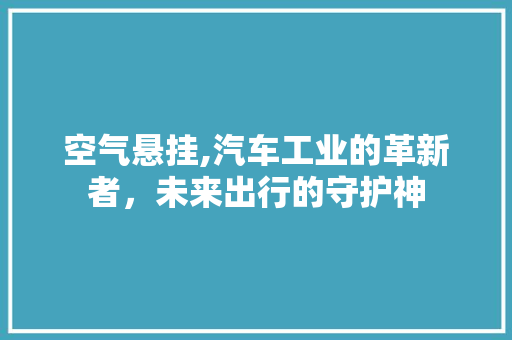 空气悬挂,汽车工业的革新者，未来出行的守护神