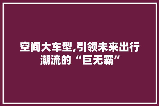 空间大车型,引领未来出行潮流的“巨无霸”
