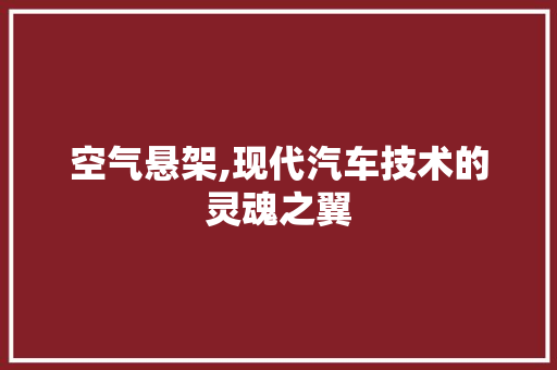 空气悬架,现代汽车技术的灵魂之翼