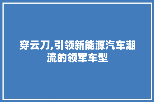 穿云刀,引领新能源汽车潮流的领军车型