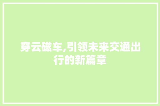 穿云磁车,引领未来交通出行的新篇章