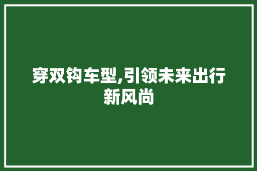 穿双钩车型,引领未来出行新风尚