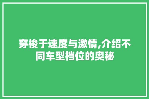 穿梭于速度与激情,介绍不同车型档位的奥秘