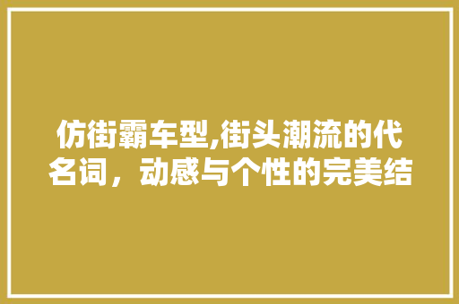 仿街霸车型,街头潮流的代名词，动感与个性的完美结合