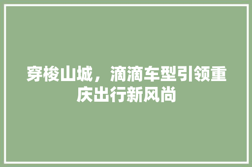穿梭山城，滴滴车型引领重庆出行新风尚