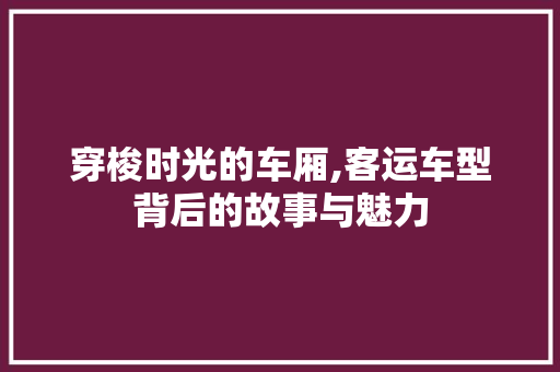 穿梭时光的车厢,客运车型背后的故事与魅力