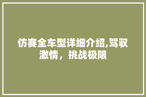 仿赛全车型详细介绍,驾驭激情，挑战极限