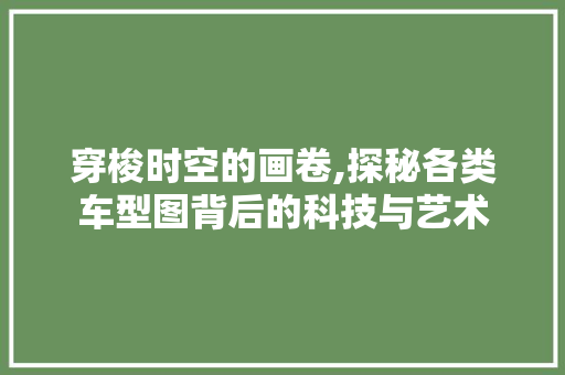 穿梭时空的画卷,探秘各类车型图背后的科技与艺术