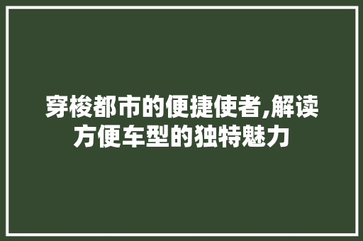 穿梭都市的便捷使者,解读方便车型的独特魅力