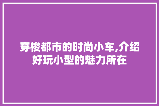 穿梭都市的时尚小车,介绍好玩小型的魅力所在