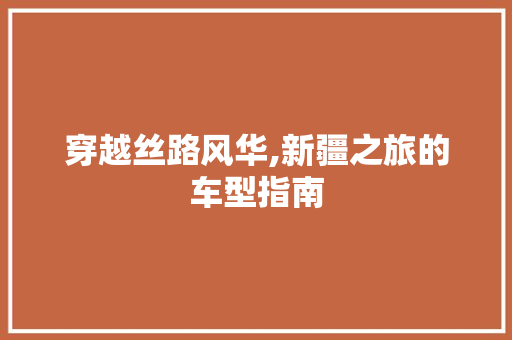 穿越丝路风华,新疆之旅的车型指南