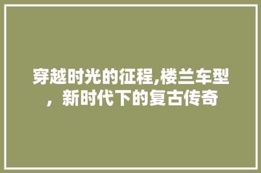穿越时光的征程,楼兰车型，新时代下的复古传奇
