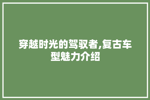 穿越时光的驾驭者,复古车型魅力介绍