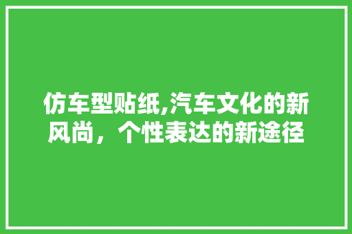 仿车型贴纸,汽车文化的新风尚，个性表达的新途径