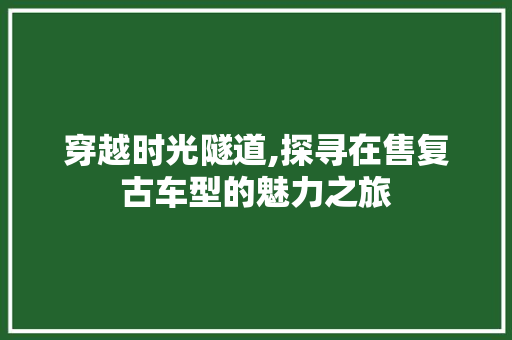 穿越时光隧道,探寻在售复古车型的魅力之旅