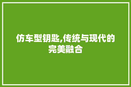 仿车型钥匙,传统与现代的完美融合