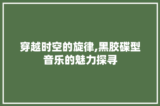 穿越时空的旋律,黑胶碟型音乐的魅力探寻