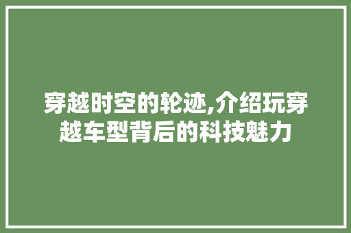 穿越时空的轮迹,介绍玩穿越车型背后的科技魅力 新能源汽车
